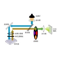 什么是熒光定量PCR、數(shù)字PCR？