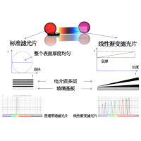 線性漸變?yōu)V光片是什么？有何特點(diǎn)？