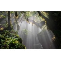 光的干涉、衍射、折射、反射、散射